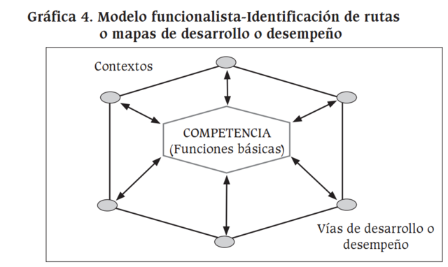 enfoques y modelos analisticos  de las competencias