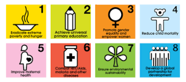 Millennium Development Goals (MDGs)
