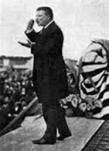 President Theodore Roosevelt/ Chief Executive 1901-1909