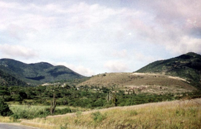 Kwimba Reforestation Project