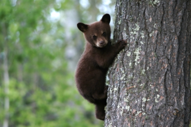 Center for Integral Small Farmer Development in the Mixteca