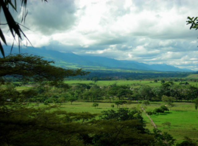 Reforestation in Colombia: Gaviotas