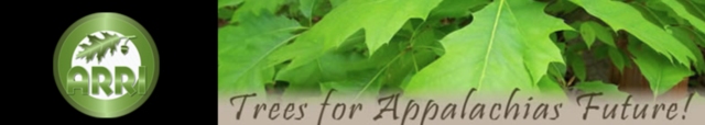 Appalachian Region Reforestation Initiative