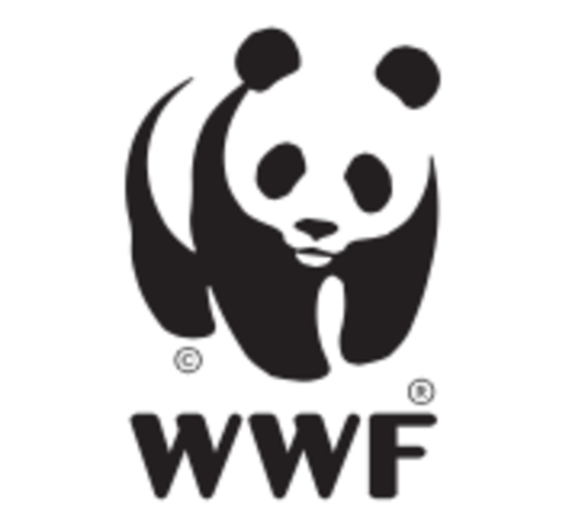 Creation of the WWF