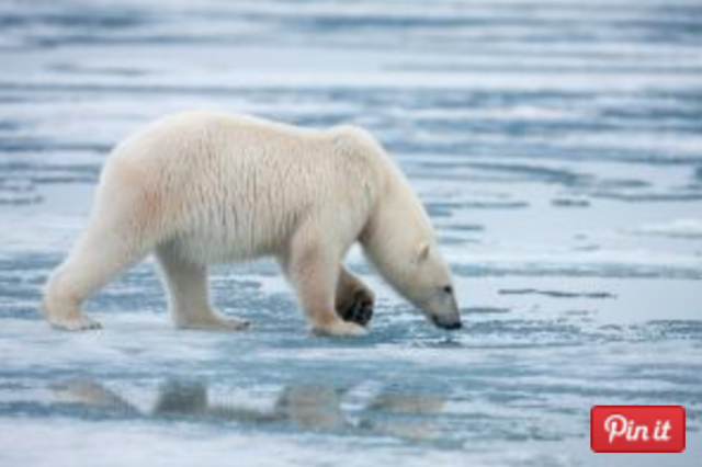 Natural Resources Defense Council