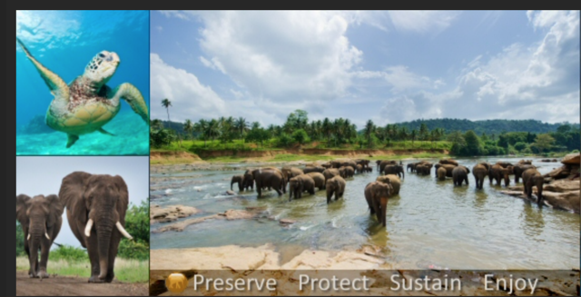 Borneo Eco-Toursims.