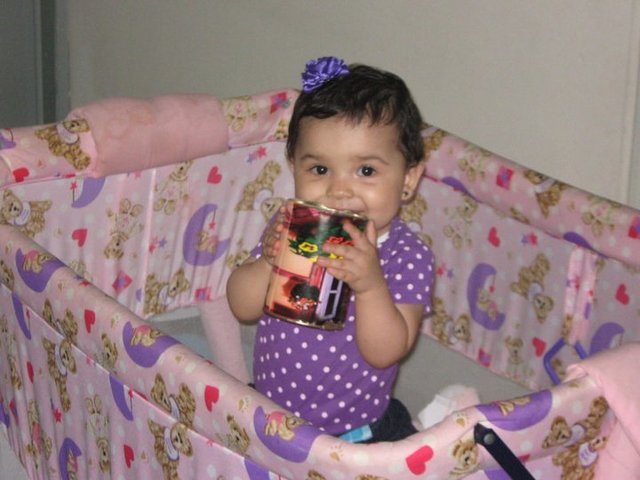 Mi primer año de vida