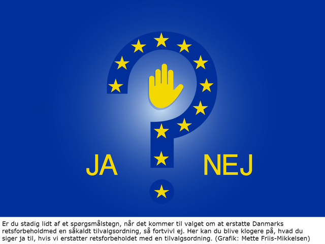 Danskernes ja til de fire forbehold