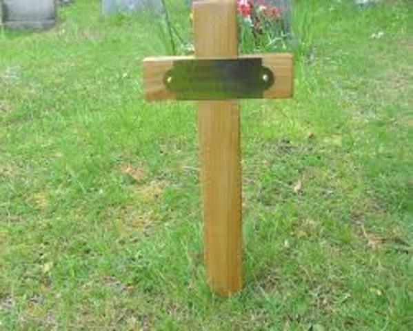 mi primer perro se se muere