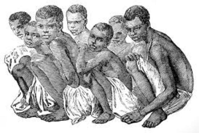 First black slaves in America brought to Spanish colony of Santo Domingo.