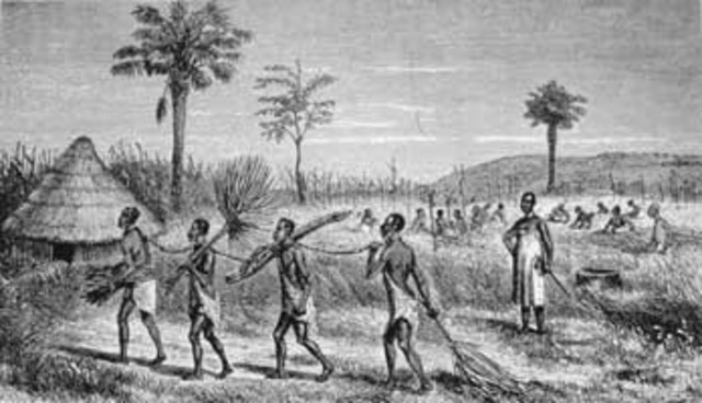 John Rolfe brought slaves to the New World