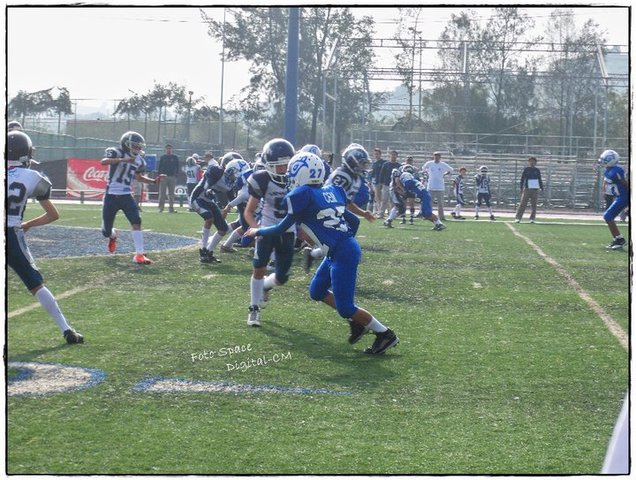 Campeones jr Pewee 2011