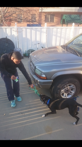 Clement Joeu Avec le Chien.
