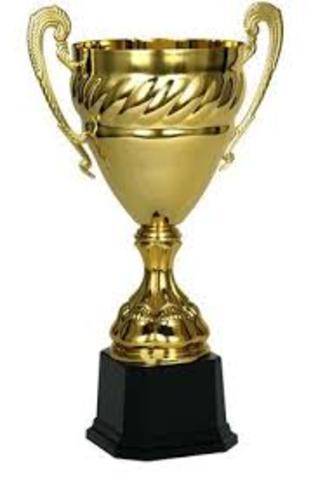 Ma võitsin esimesed kuld medalid ujumises