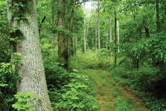 The department of the environment act