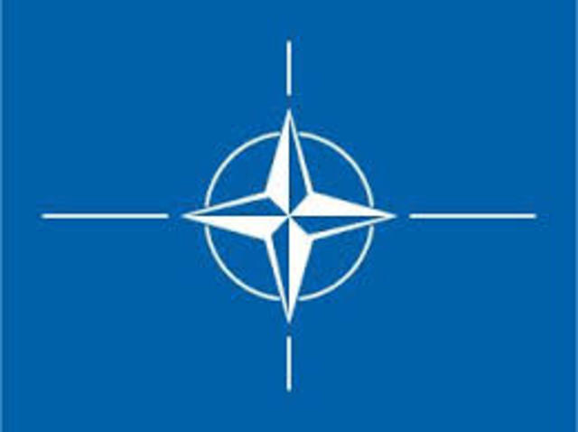 North Atlantic Treaty Organization (NATO)
