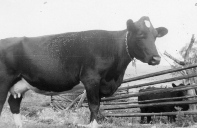 Then she moved to a cattle ranch.