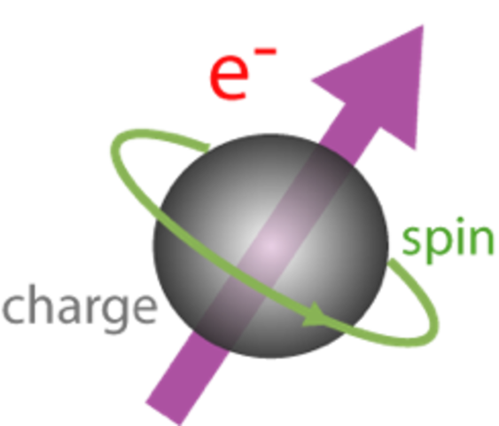 Pauli's Exclusion Principle