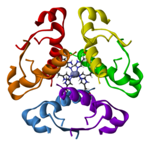 Insulin Three-Dimensional Structure