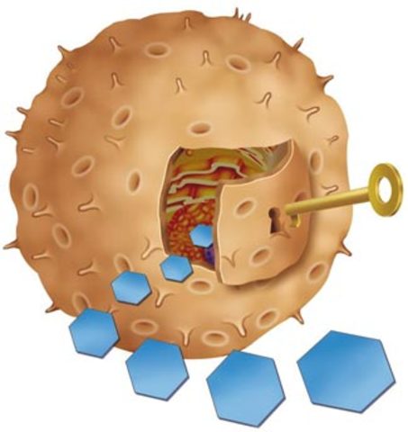 Discovery of Receptor Binding