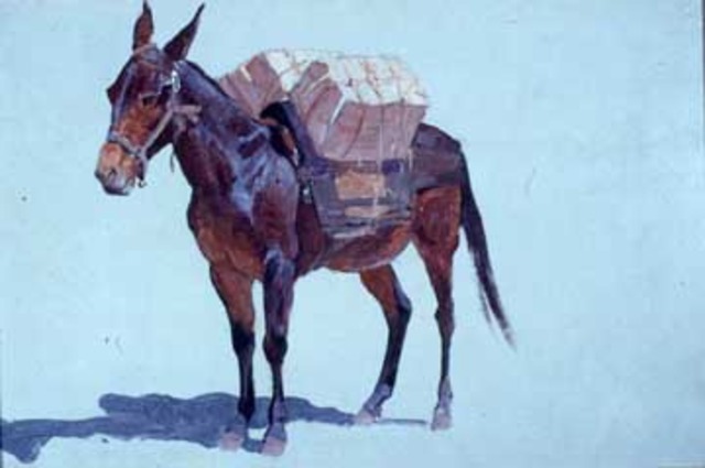 Turning Point/Major Occurence 4