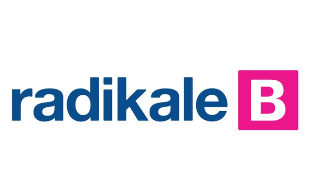 Radikale Venstre danner parti - udspringer af Venstre