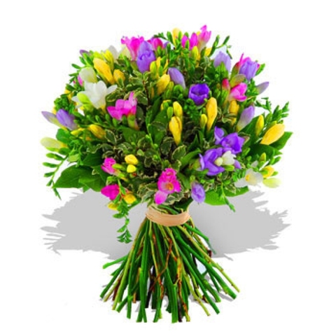 freesias