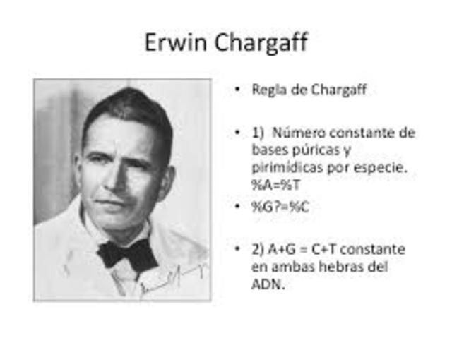 ERWIN CHARGAFF