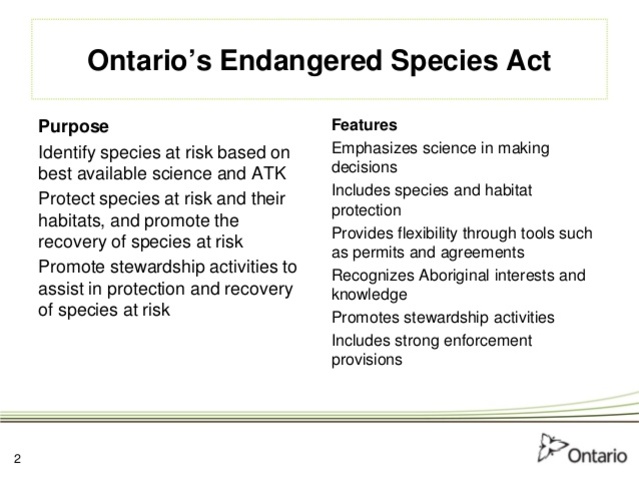 Species at risk act (SARA)