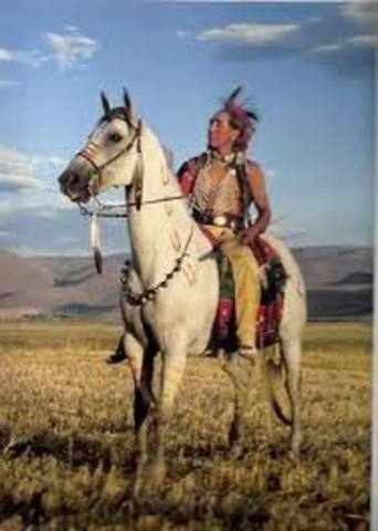 Introduction of Horses