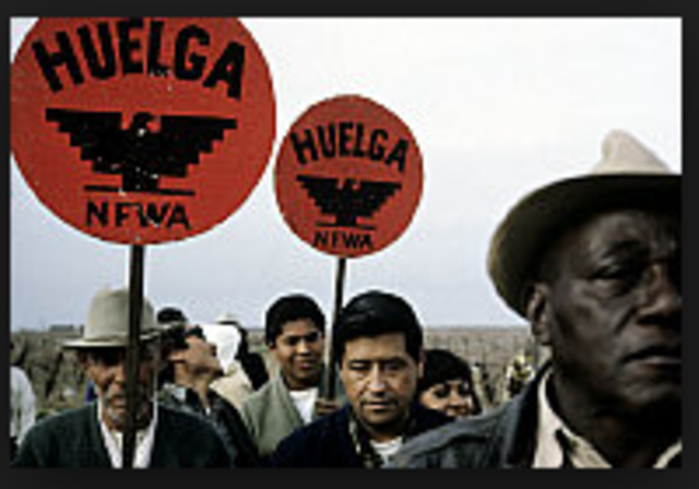 National Farm Workers Association