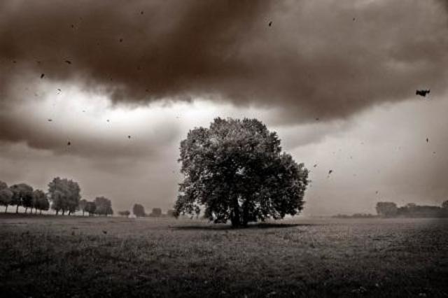 Hazautazik, vihar,fogadalom