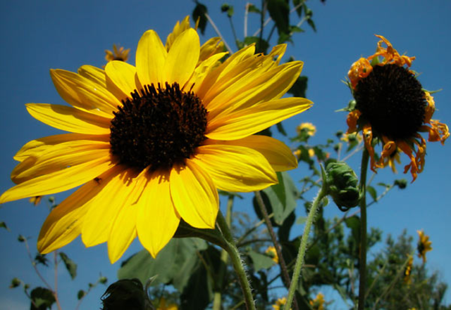 Event 1: Saving Each Other