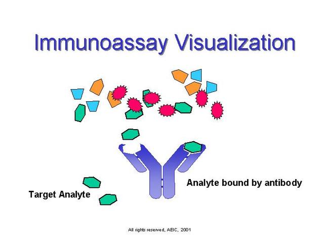Immunoassay