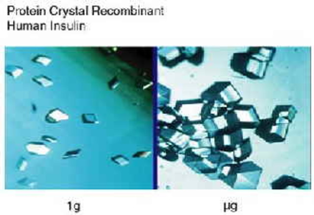 Crystalized Insulin