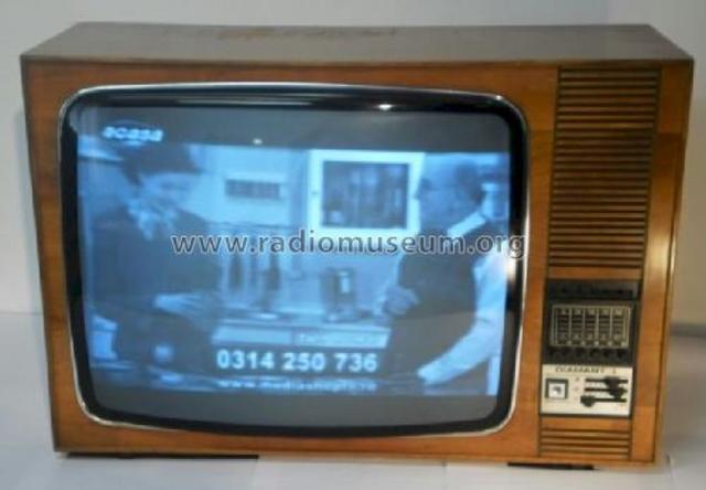 El uso de la televisión electrónica.