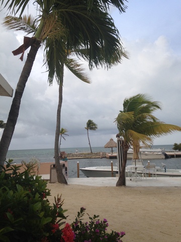 Segunda vez a florida