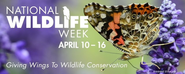 National Wildlife Week Act