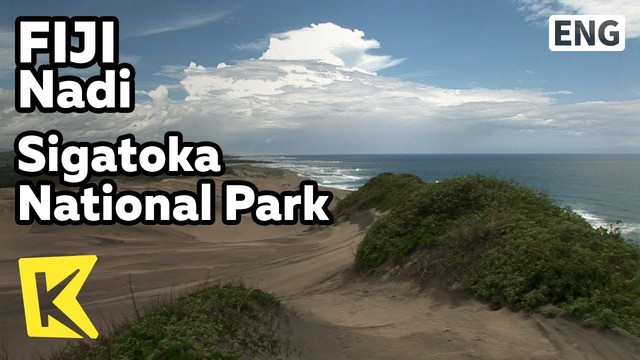 go to and surf and eat on the shore