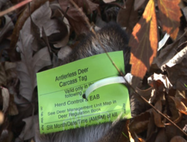 Voted on restrictions to protect deer