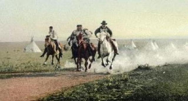 The Introduction of Horses