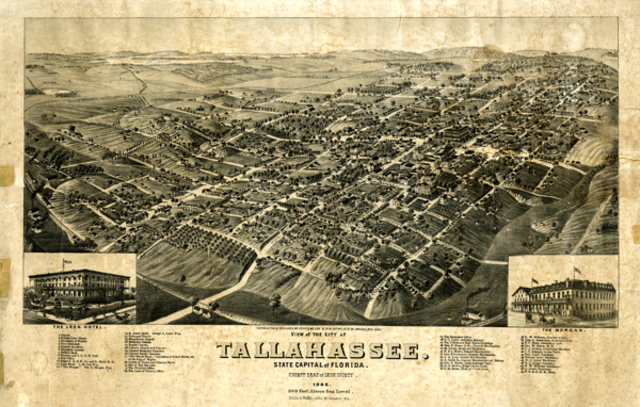 Capital Establishment