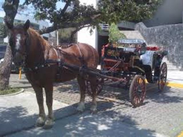 Inicio del implemento de la cadena de suministro