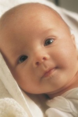 nace Nicolas Bernal Farfan