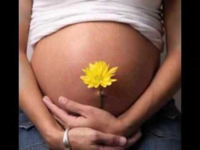 Ley 24785 -Dia nacional de los derechos politicos de la mujer