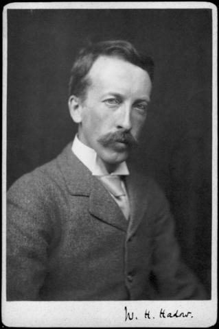 The Haddow Report 1931