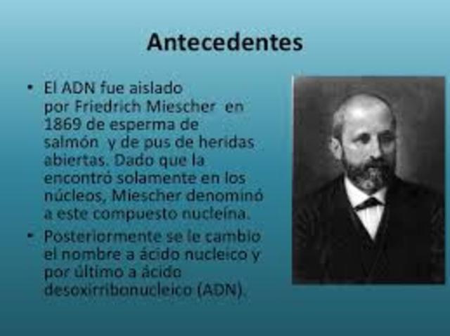 LOS ANTECEDENTES DEL ADN
