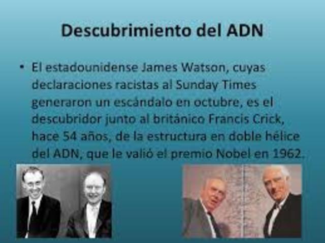 EL DESCBRIMIENTO  DE LA ESTRCTRA DEL ADN