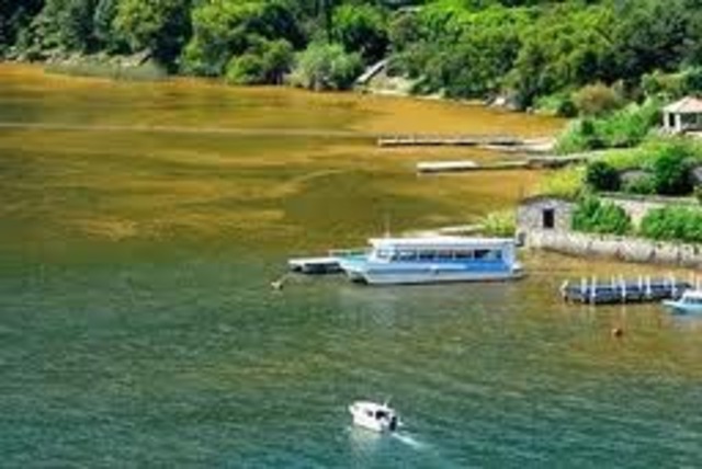 Cianobacteria en Atitlan