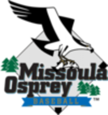 Arizona Diamondbacks Minor League Player of the Year.